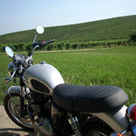Wine tours Example