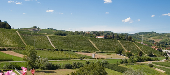 Wine Tours Piedmont