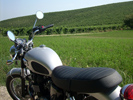 Wine Tours in Piedmont